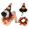 Spider Cat Collar Hat Set Pumpkin Pet Halloween Supplies Fuuny Halloween Cat Costume  Small Dog