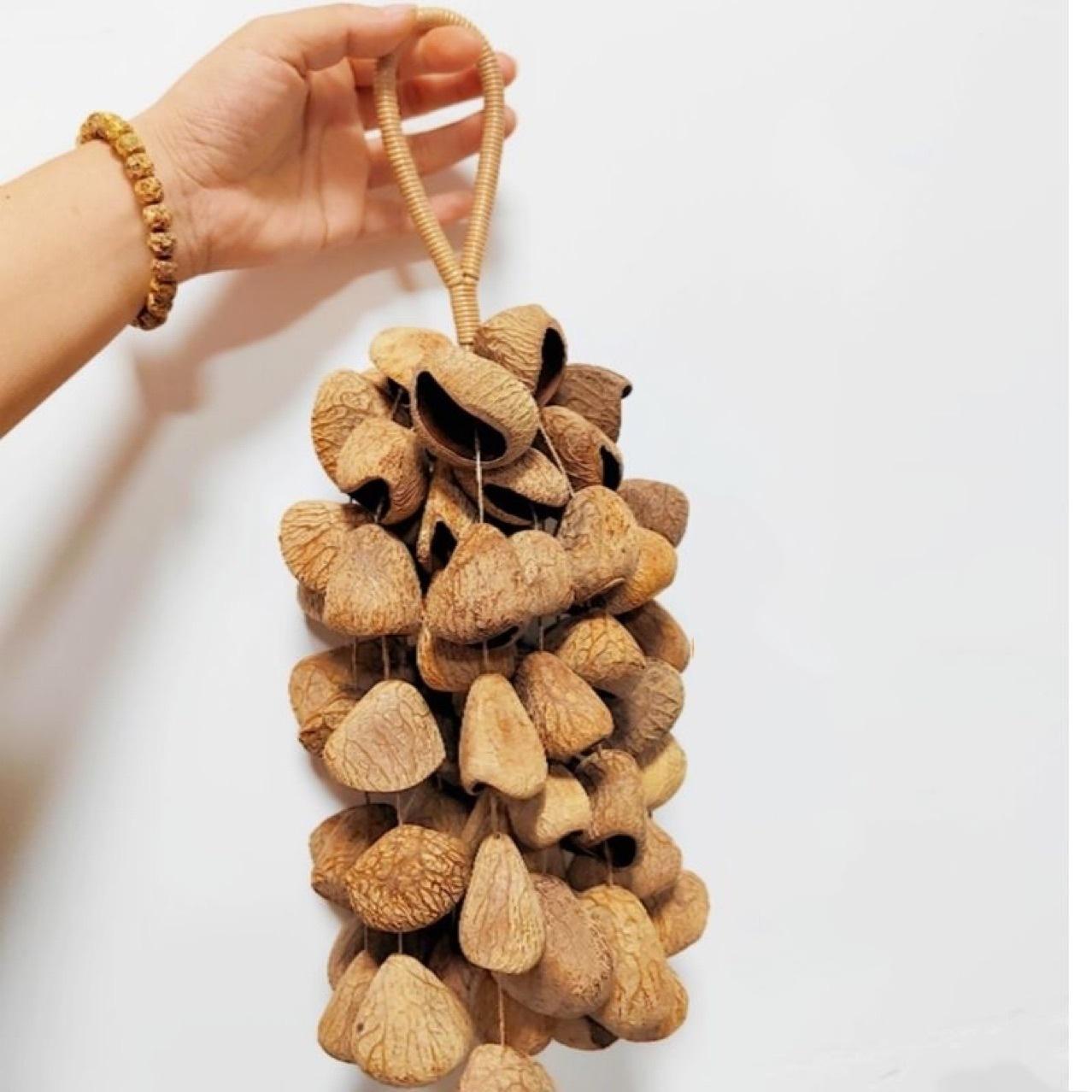 Indonesian Fruit Shell Wind Chimes Sound Therapy Instruments Accompaniment Chimes for Yoga Sound Bundle