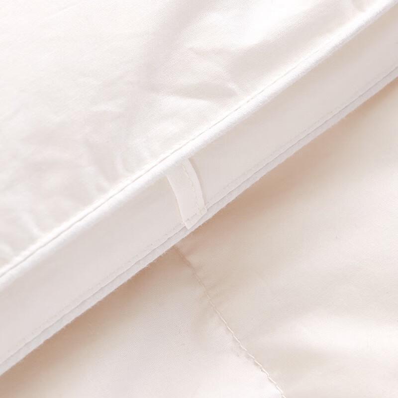 Jieliya White Goose Down Comforter