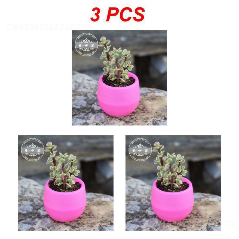 

1/2/3 шт. пластиковый цветочный горшок маленький зеленый цветочный горшок для растений настольный горшок однотонный держатель для грязи 2024 горшок для суккулентных растений