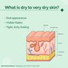 La Crema Hidratante The Derma Co 5% Niacinamida-Ceramida 100g | Hidratación 72h para Piel Seca
