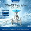 Stainless Steel Corrosion-Resistant Manual Flanged Gate Valve 304/316L, Hard Seal, Straight Through, Model Z41W-16P
