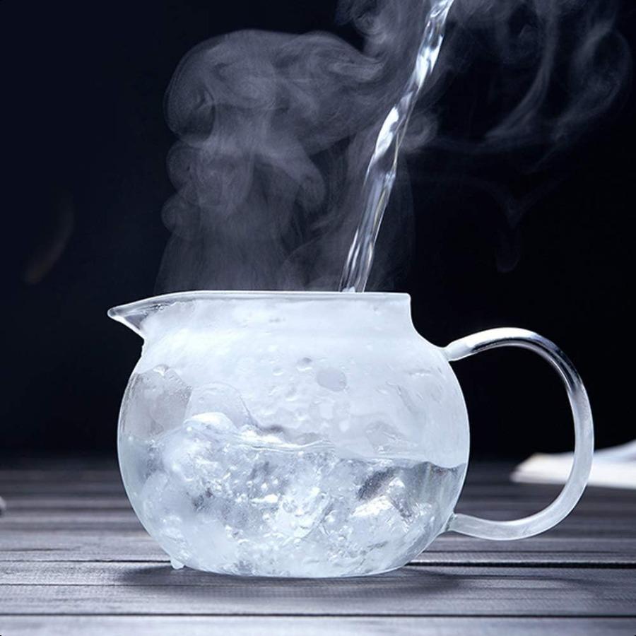 Hofu Small Clear High Borosilicate Glass Tea Pot with Removable 304 Stainless Steel Infuser Heat Resistant Loose Leaf Teapot St
