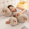 25/35/50/70cm Weiche Tier-Walross-Plüschpuppe Realistisches Meeres-Walross-Plüschtier Gefülltes Seehund-Kuscheltier Schlafkissen Geburtstag Weihnachten Geschenk