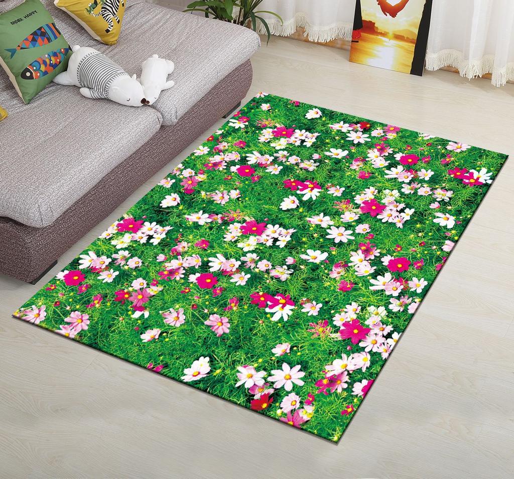 Living Room Carpet Bedroom Bedside Carpet Simple Floor Mat Foot Mat and Machine Washable Entrance Mat