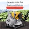 Ai Rui De 1.5KW Four-Stroke Gasoline Water Pump CN Plug (adapter Included)