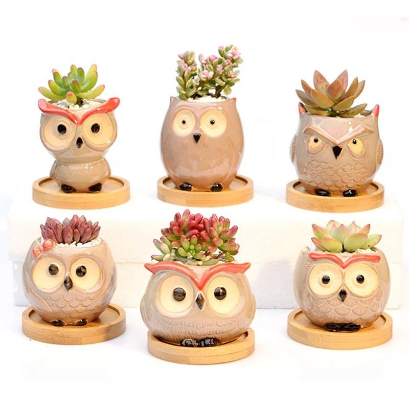 Mini Eule Blumentopf Garten Büro Dekoration Sukkulent Keramik Blumentopf Pastoral Niedliches Tier Europäischer Stil Haushalt Blumentopf