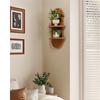 Wall Decor Brown Plant Wall Shelf, Modern Hanging Plant Shelf, 2-Tier Wooden Floating Shelves for Home, Living Room, Office Holding Planter Decoration