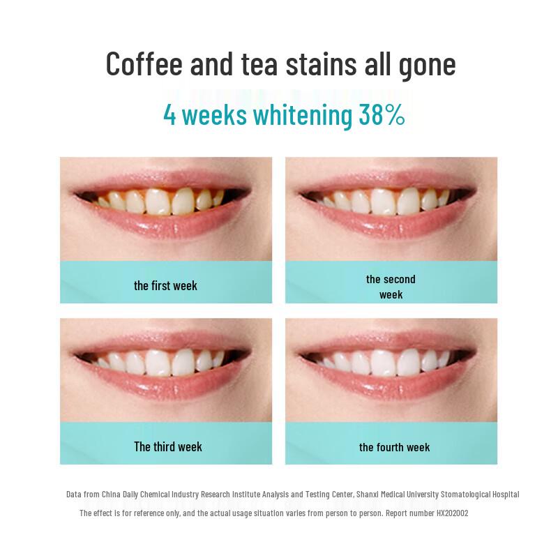 ROAMAN T3 Sonic Electric Toothbrush