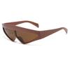 y2k Vintage Triangle Sunglasses Women For Men Luxurious Brand Style Designer Sun Glasses Steampunk Popular Sexy Ladies Eyeglasses UV400