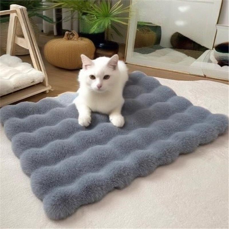 Warm Space Capsule Cat Bed with Cushion and Thick Blanket