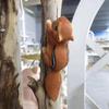 Squirrel Figurine Statues Tree Climber Sculpture Hanging Tree Garden Statue Hugger Decorations Outdoor Gifts Garden Decor
