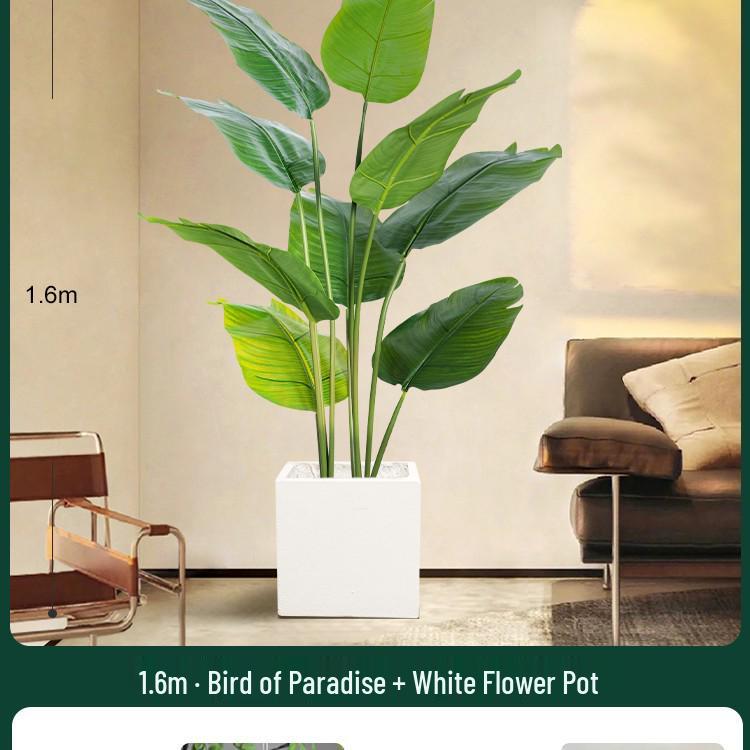 High-End Indoor Bird of Paradise Decor: Luxury Potted Traveler's Palm