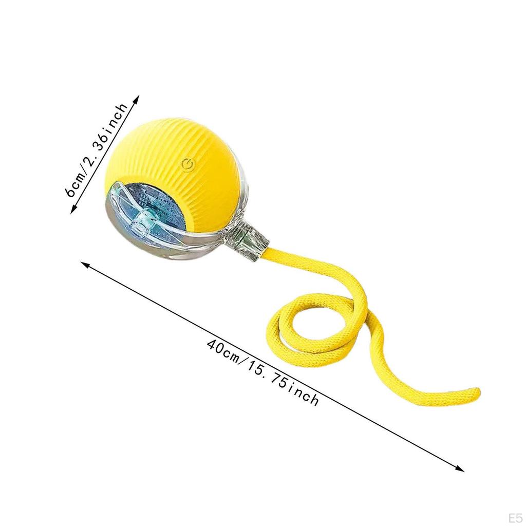 Interactive Cat Toy Automatic Moving,Lightweight,Funny,Cute,Rolling Ball Pet for Dog Kitty