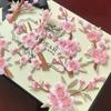 Patch Loch Kleidung Rock Cheongsam Dekoration Diy Kleber Rosa Pflaumenblüte Zubehör Stickerei Tuch Aufkleber
