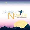 Sense of North A by David Underdown Paperback Book 9781788640459