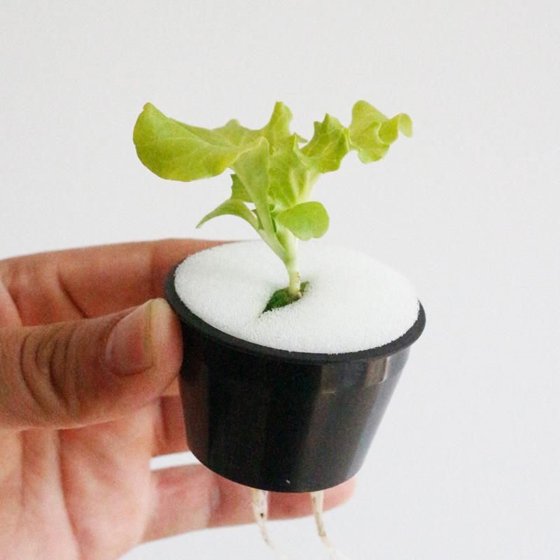 White Hydroponic Sponge Soilless Hydroponic Vegetable Growing Tool Block Plant Vegetable Root Protection Sponge