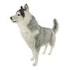 BH8331 HANSA Husky Siberian Gri 115