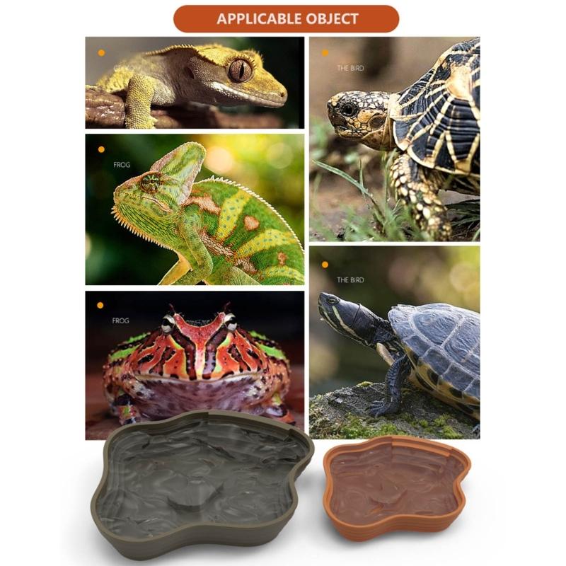 Reptiles Animal Feeding Plate Durable ABS Construction Shallow Water Dish For Turtles Lizards