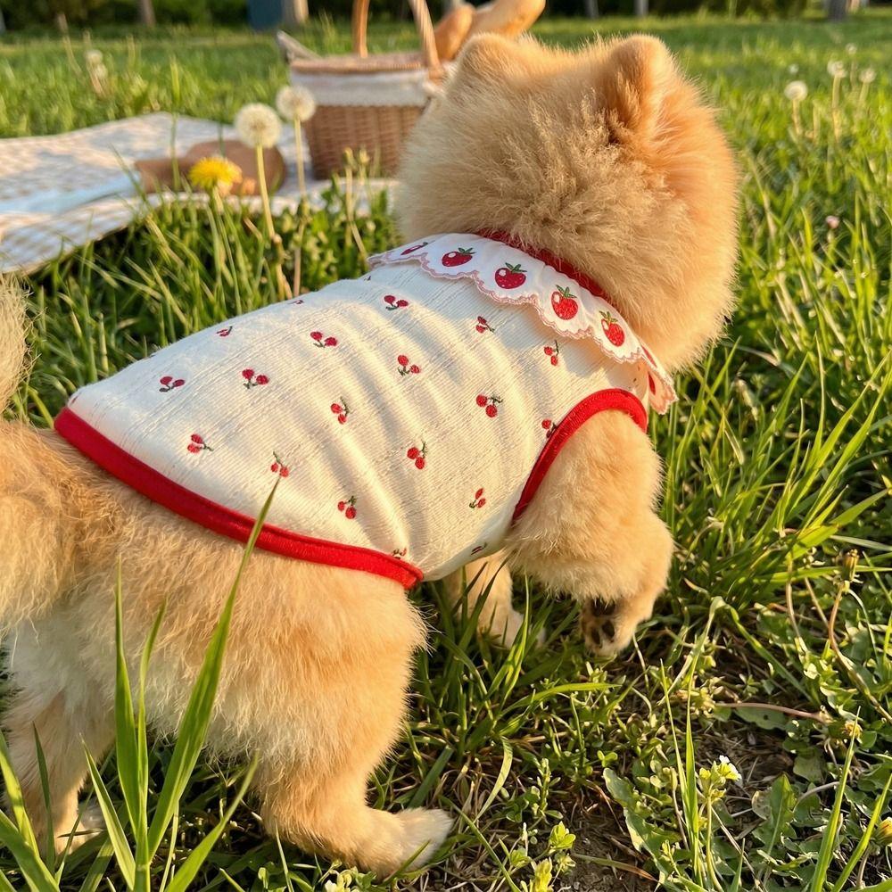 Ruffled Collar Cat Strawberry Vest Cherry Pattern Pet T-shirt Dogs Short Sleeve  Summer Spring