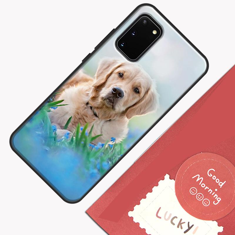 Golden Retriever Hund Handyhülle Für Samsung Galaxy S24 S26 Ultra S20 S21 S22 S23 S25 Plus S10 S25 FE Hülle Schale