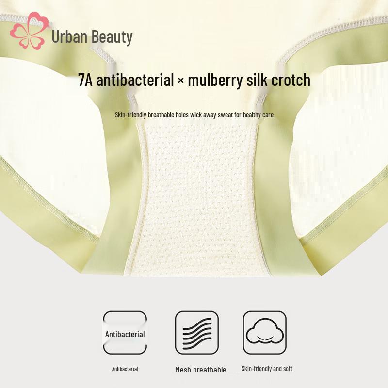 Urban Beauty Women's Modal Mulberry Silk Briefs 4-Pack