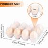 100PCS Durable Clear Egg Cartons 3 * 4 Grids 12 Count Egg Containers Medium Reusable Egg Holder Egg Trays Chicken Eggs