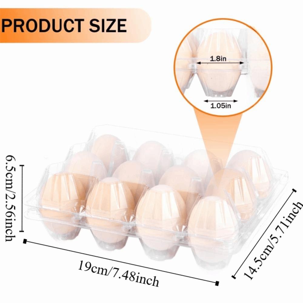 100PCS Durable Clear Egg Cartons 3 * 4 Grids 12 Count Egg Containers Medium Reusable Egg Holder Egg Trays Chicken Eggs