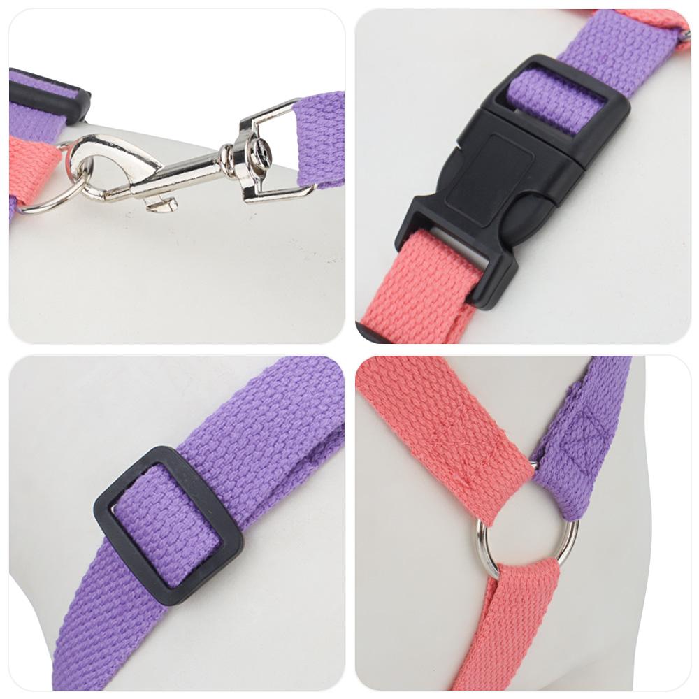 Classic Step-in Dog Harness and Leash Set-No Pull Pet Adjustable Halter Harness with Leash Easy Walk Running Training for Small Dogs&cat