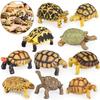 European & Indian Star Tortoise Simulation Toy for Car Decoration