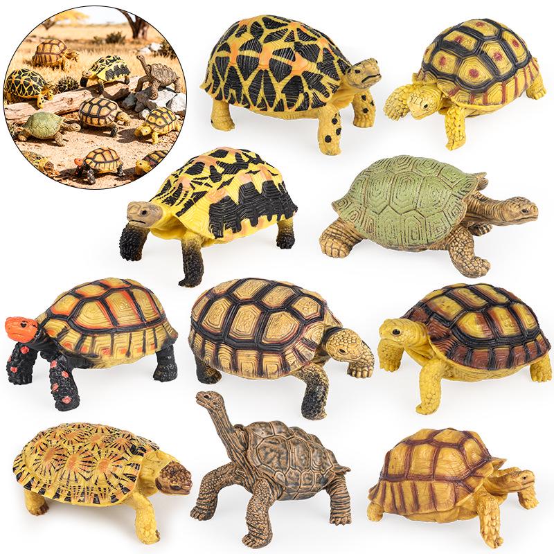 European & Indian Star Tortoise Simulation Toy for Car Decoration