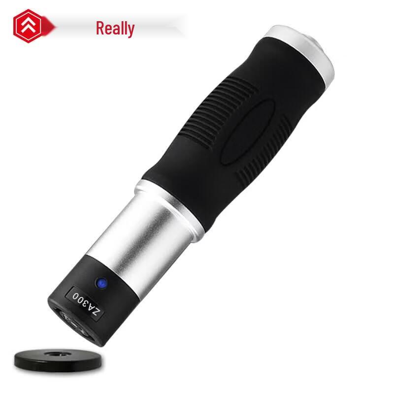 Realand ZA300 Electronic Patrol System CN plug (adapter included)