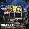 Creative STEM Educational Mechanical Shark Ocean Animal Electric Toy Building Blocks Model Set MOC Style Assembly Bricks for Kid