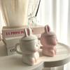 Cute INS Style Ceramic Mug Creative Kawaii Rabbit Coffee Cup Couples Cup Breakfast Milk Tea Mug Valentine's Day Gift
