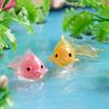 Peixes e animais aquáticos – Decoração de aquário