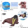 4D Insect Model Toy Set: Ladybug, Stag Beetle, Centipede, Ant, Fly, Mantis