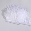 Ostrich Feather Trim 8-10cm 10-15cm 10Meters Fringe White for Clothes Ribbon Skirt Plumas Plume Decoration Wedding Party