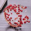 Red Crown Pearl Headdress for Weddings and Birthdays