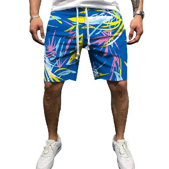 European And American Men'S Summer New 3D Printed Drawstring Loose Sports Shorts Men'S Beach Pants