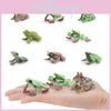 Nature Animal Pvc Model With Realistic Frog Figures For Educational Kids Collectibles