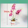 Phalaenopsis Potted Plant Ornament For Office Desk And Living Decor Room