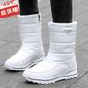 Women's Winter Boots 2025 Snow Boots Women Warm Thickened Plush Waterproof Non-Slip Cold-Proof Outdoor Boot Ladies Winter Shoes
