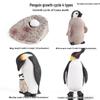 Frog Life Cycle Model Set: Tadpole to Frog Educational Toys for Kids