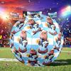 1 pallone da calcio Argentina Celebration Taglia 5, Adatto per partite di allenamento/allenamenti per tornei, Leggero e resistente gt70720