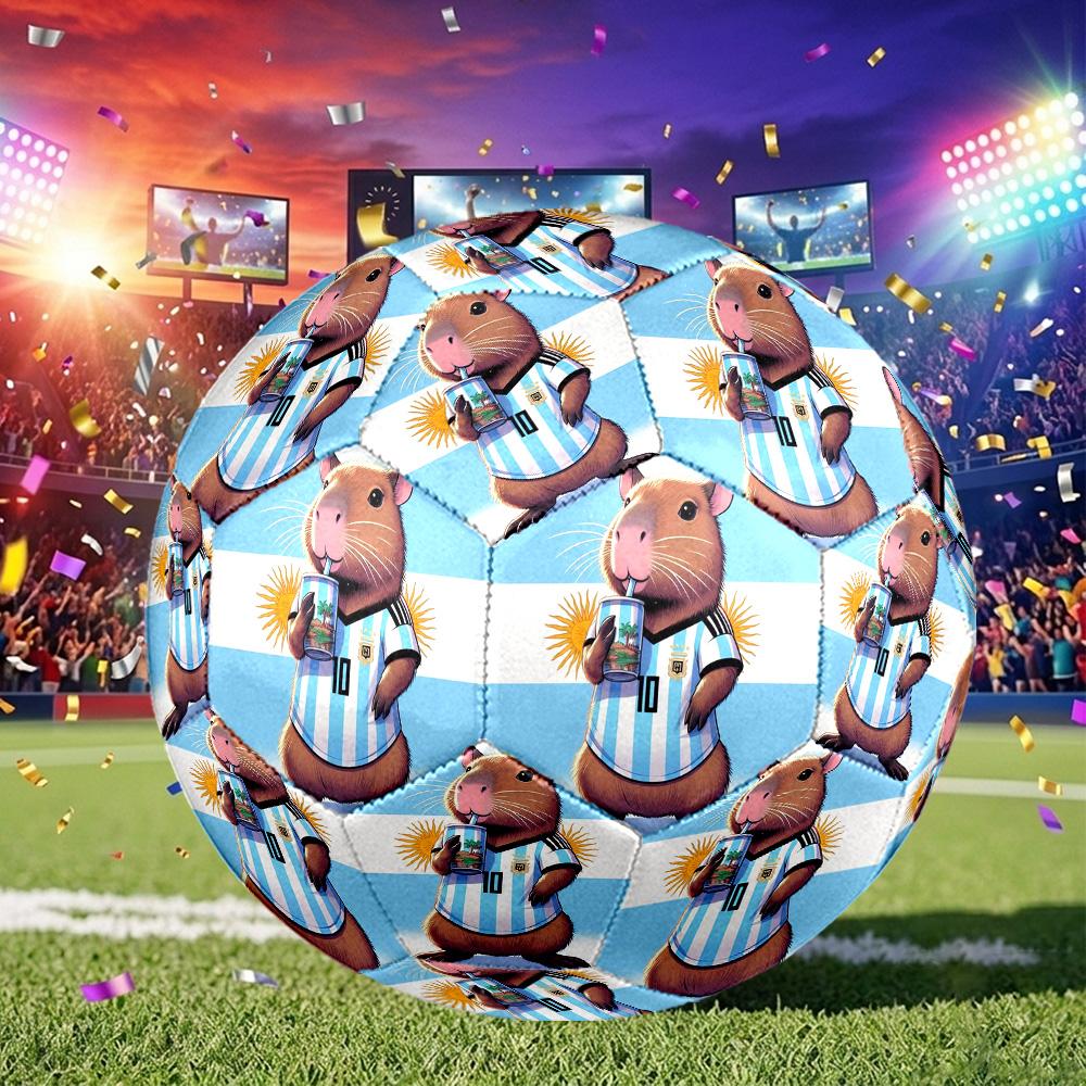 1 pallone da calcio Argentina Celebration Taglia 5, Adatto per partite di allenamento/allenamenti per tornei, Leggero e resistente gt70720