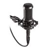 Accessori per audio e video – Microfoni