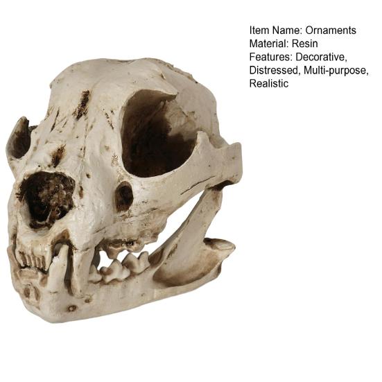 Dog Skull Ornament Distressed Resin Halloween Decoration Lifelike Dog Skull for Desktop Fish