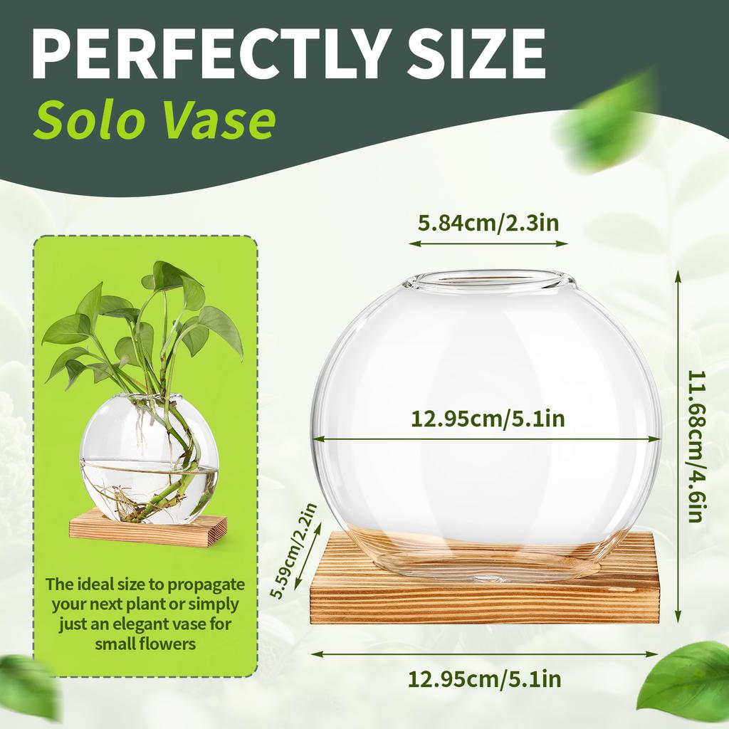2pcs Plant Terrarium Vases Table Decor Office Desktop Vase Ornament Home Decor For Indoor Live Hydroponics Plants