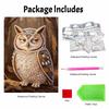 Pearl Painting Kit DIY Owl Animal Home Decoration Painting