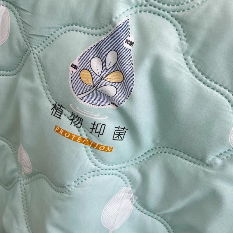 XuanYu Oxygen Forest Island Summer Cooling Quilt